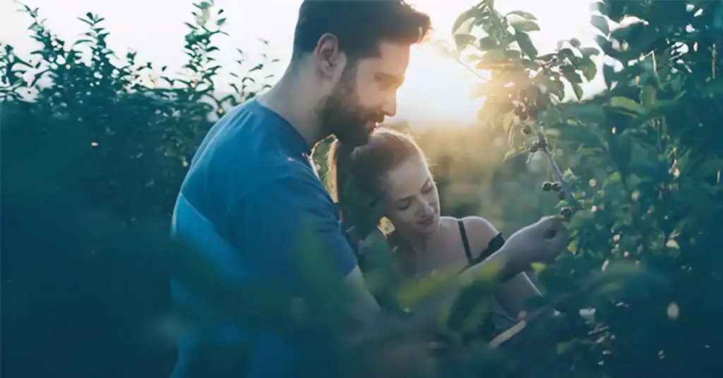 Couple embracing outdoors in garden with golden sunset lighting