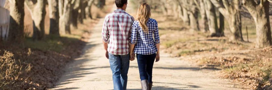 A couple walks hand in hand down a tree-lined dirt path, seen from behind.